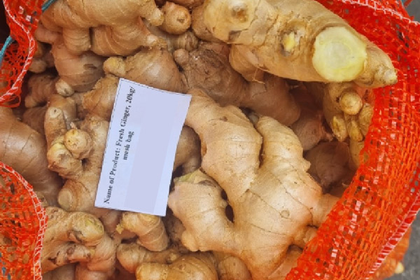 Headway JSC Seizes The Opportunity To Export Ginger To Bangladesh Market