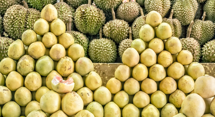 Headway JSC – An Opportunity To Promote Vietnamese Agricultural Products To Conquer The Us Market