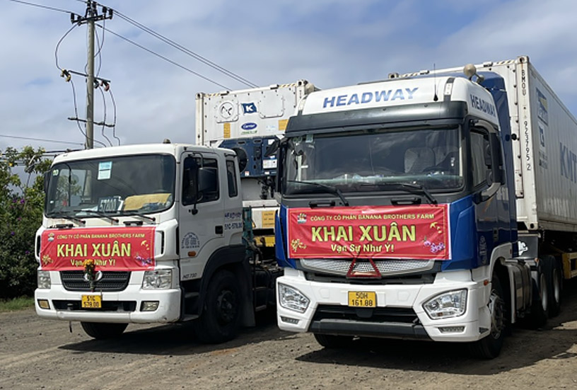 Headway JSC Starts Its First Spring Shipping For BBF Joint Stock Company (Banana Brother Farm)