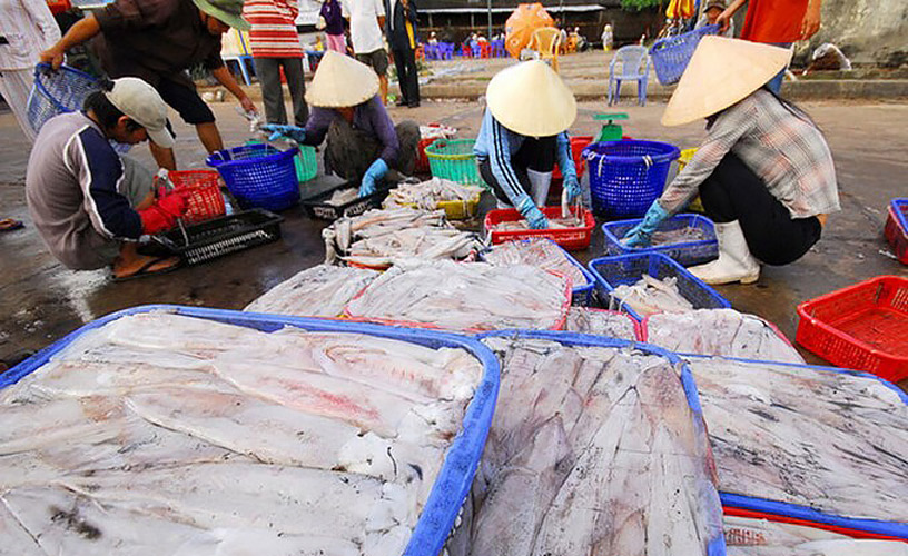 Headway JSC Saw A Skyrocket Increase In Shipment Of Squid And Octopus To The US