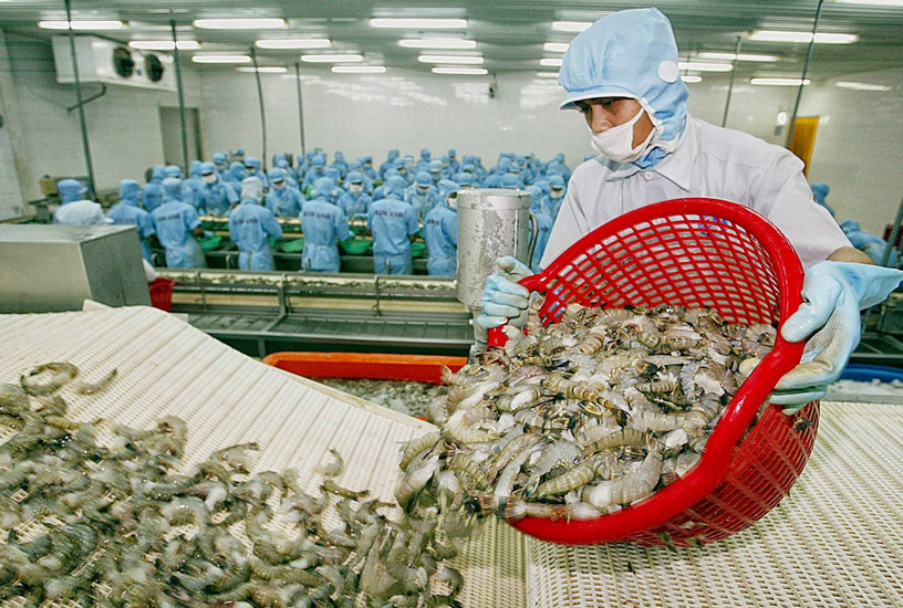 Headway JSC Saw Increase In Export Shrimp Output In 2023