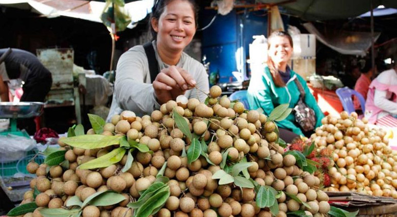 Headway JSC Transported 375 Tons Of Cambodian Fresh Longan To China, Through Vietnam Border Gate