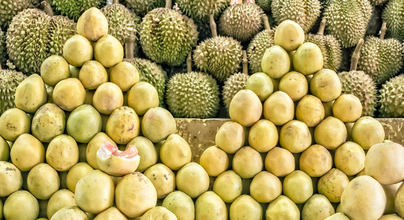 DurianPomelo