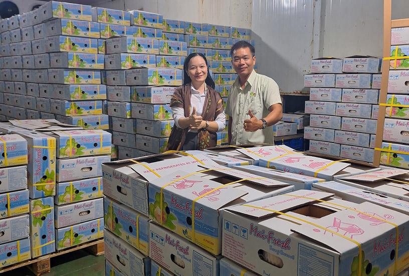 Headway JSC Delivers 1,400 Tons Of Fresh Coconut From Mekong Fresh Fruit In The 1st Quarter 2024
