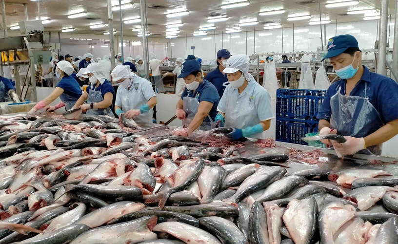 Headway JSC To See Sharp Increase In Pangasius Export To Brazil Market In Early 2024