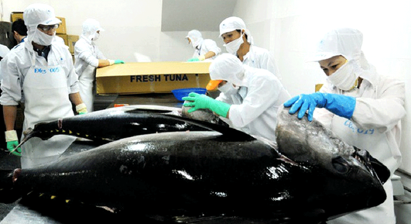 Headway JSC Shipping 4,000 Tons Of Tuna To Various Countries In The First 8 Months Of 2024