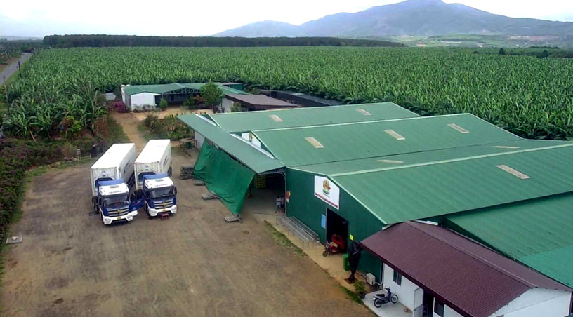 Farm01