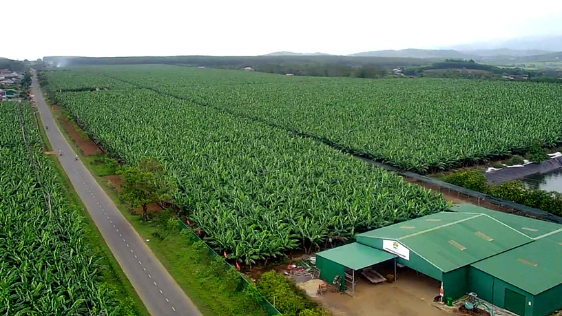 Headway JSC Strengthening The Supply Chain Of Agricultural Products In The Central Highlands Region