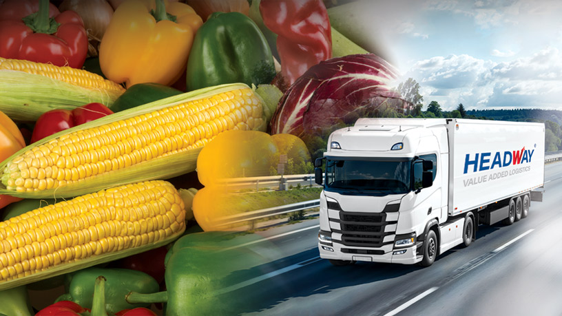 Headway JSC Accelerates Vegetable Exports To The Singapore Market