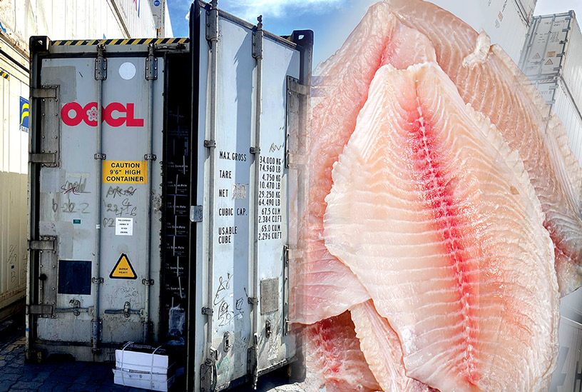 Headway JSC Achieves Impressive Growth In Pangasius Exports To Brazil In 2025