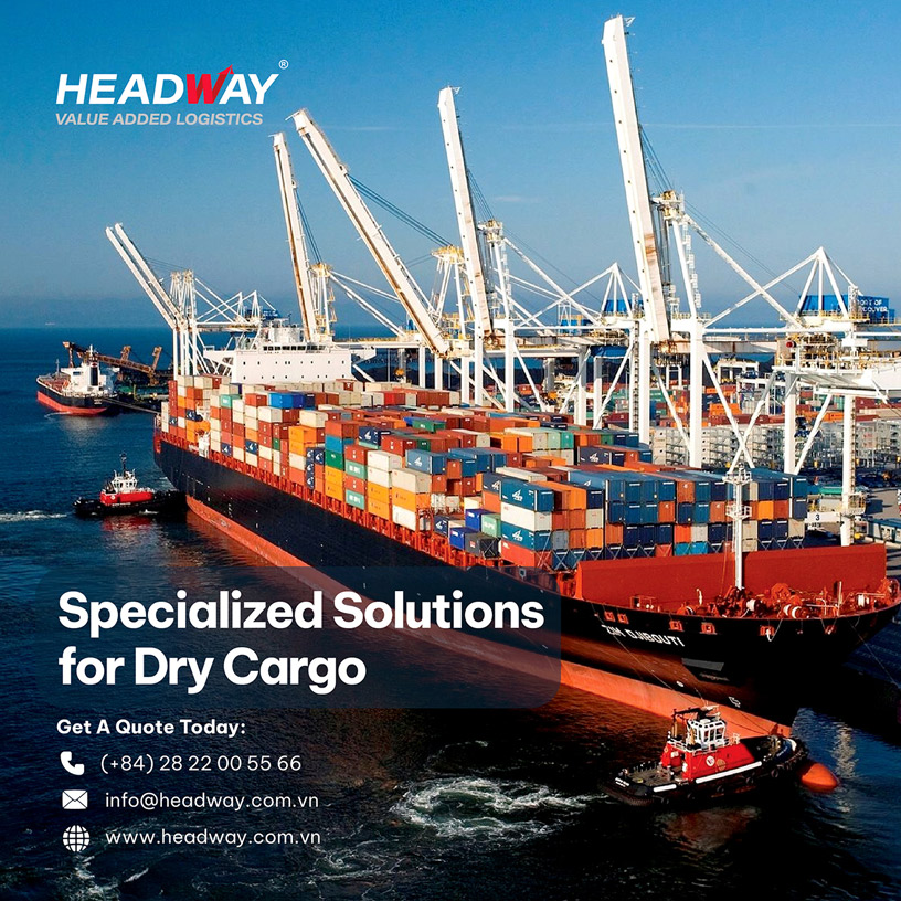 Specialized Logistics Solutions For Dry Cargo Exports Amid 2026 Market Volatility